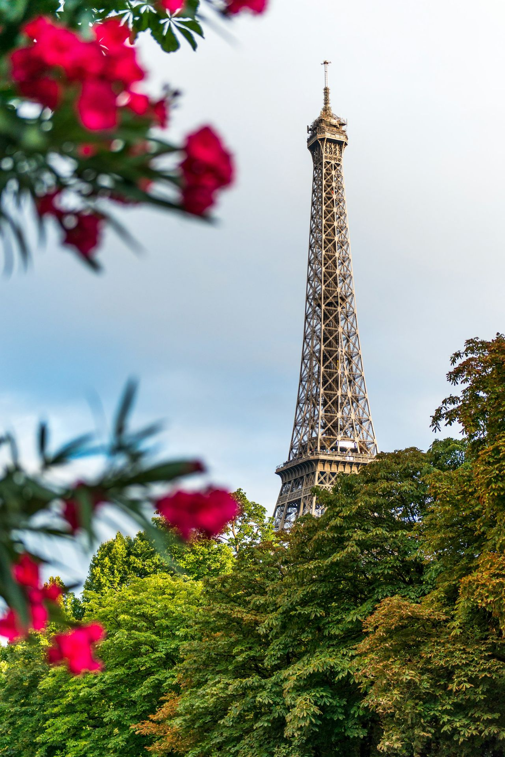 red flowers